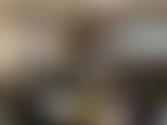 生きのびるマンション<二つの老い>をこえて