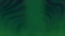 GREEN BG.jpg