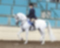 Debbie Price at horse show.