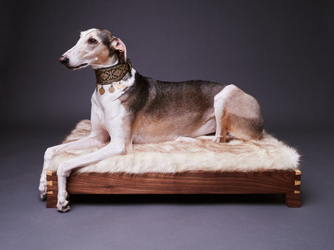 Packshot produktu z doskonałym oświetleniem