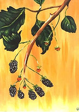 Blackberries.jpeg
