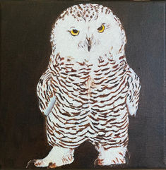 Snowy Owl May 22.jpg