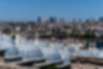 05 04 2025 Mixed-14.jpg