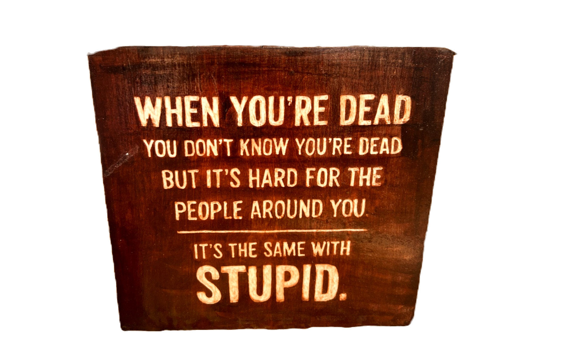 When You're Stupid