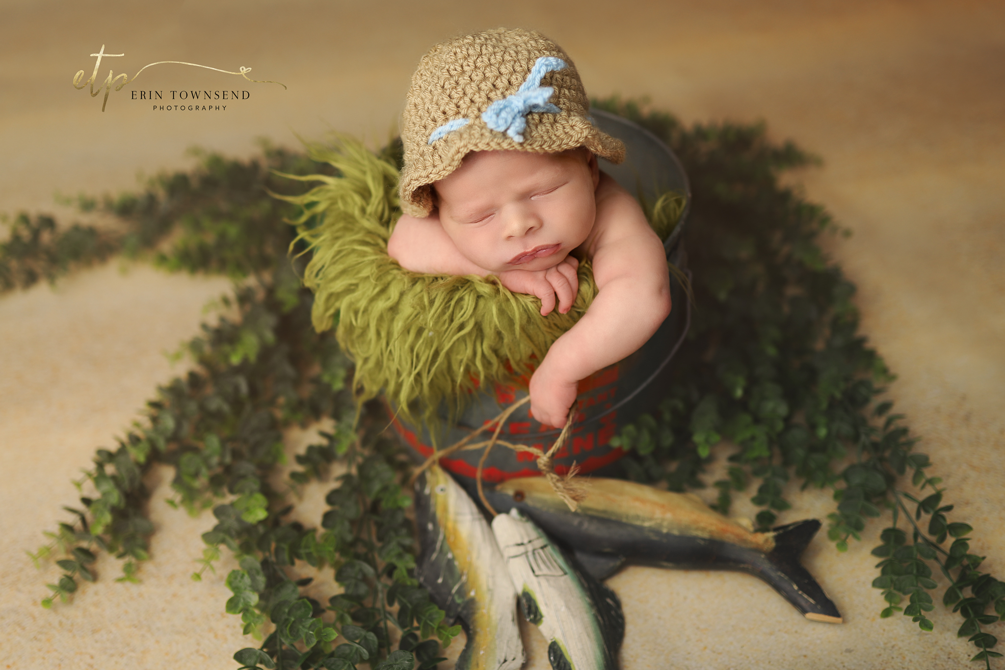 ammerman