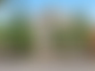 The Perfect Lock-and-Leave Condo in Wash Park, Denver