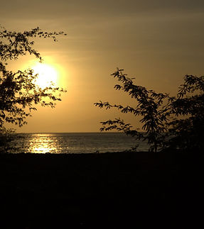 WhatsApp Image 2023-03-04 Ã 10.05.52.jpg