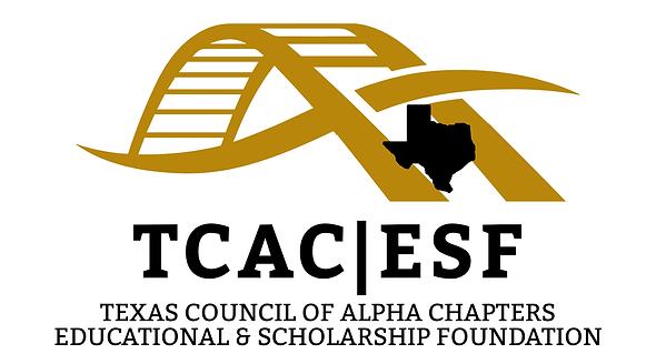 TCACESF Bridge 01.png