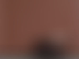 Sustainable Wall Coatings: Innovation in Contemporary Architecture