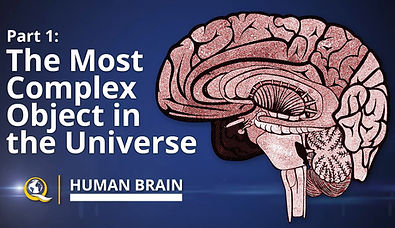 maxresdefault (1).jpg