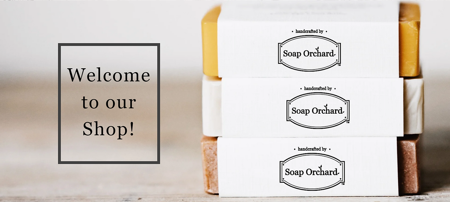 Welcome Home Page.png