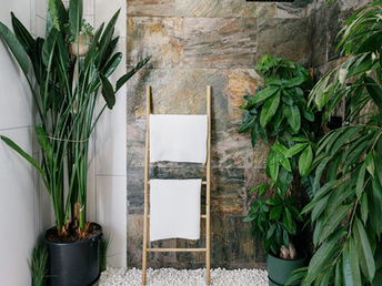 Welcome to the World of Nature-Inspired Design