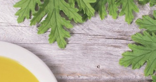 CitronellaOilUpdate_Header_edited.jpg
