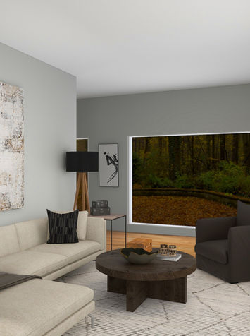 Modern Rustic Living Room