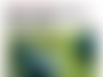 Canada Border Services Agency officers seized 108 bricks of opium weighing about 112 kilograms from a commercial truck at the Pacific Highway border crossing south of Vancouver.