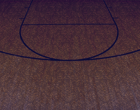 Unleashed Potential Basketball