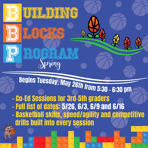 BB Program.png
