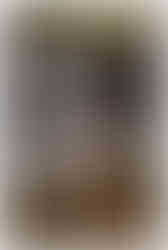 Waterfall Engagement Session at Slateford Creek Falls in PA by Sara Fitz Co