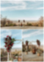 Mountaintop Wedding Ceremony with Magenta Floral Details and Birch Wedding Arch