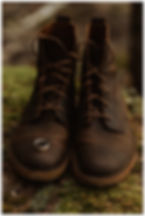 Acadia National Park Elopement Details