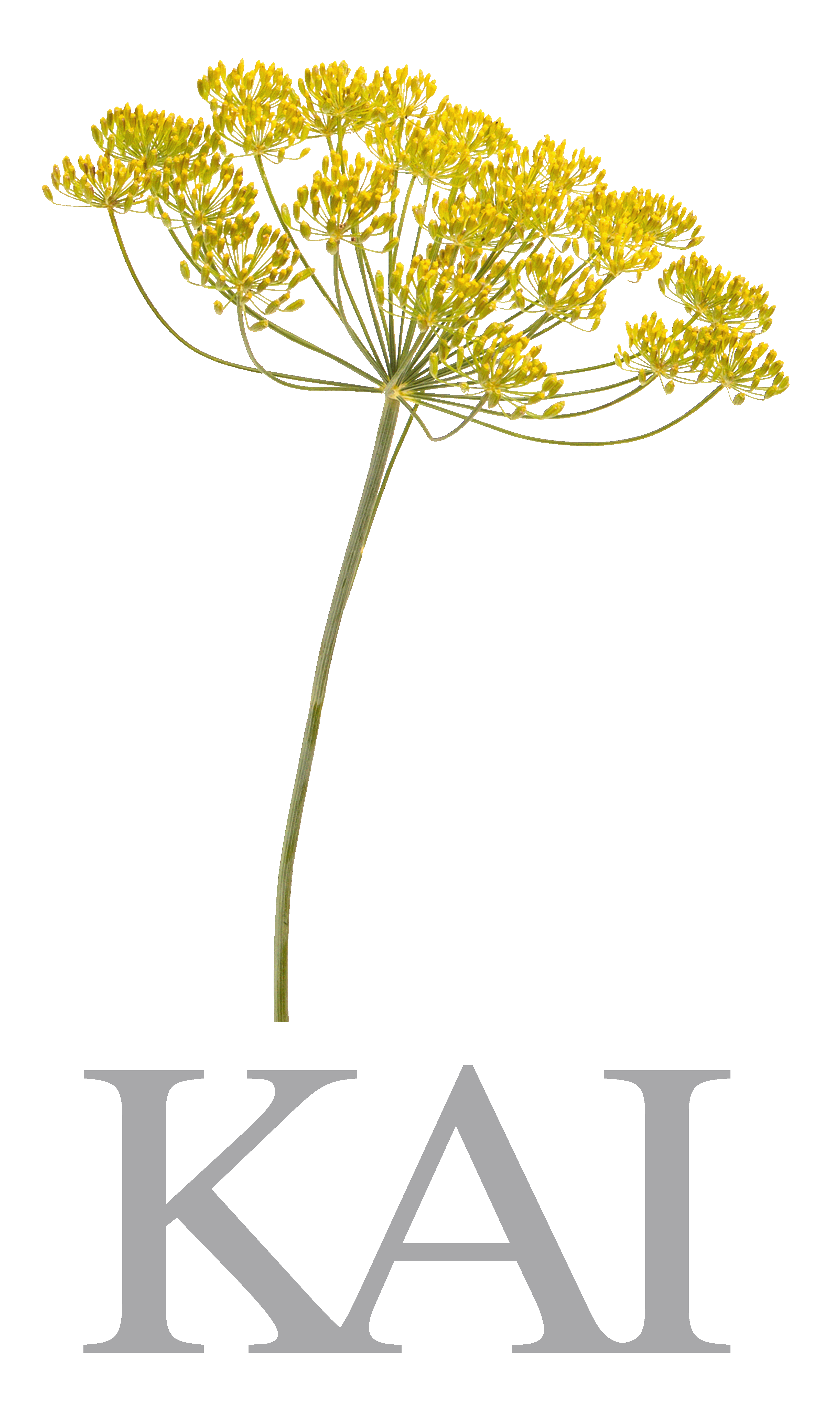 kai_fine_dining_logo.gif