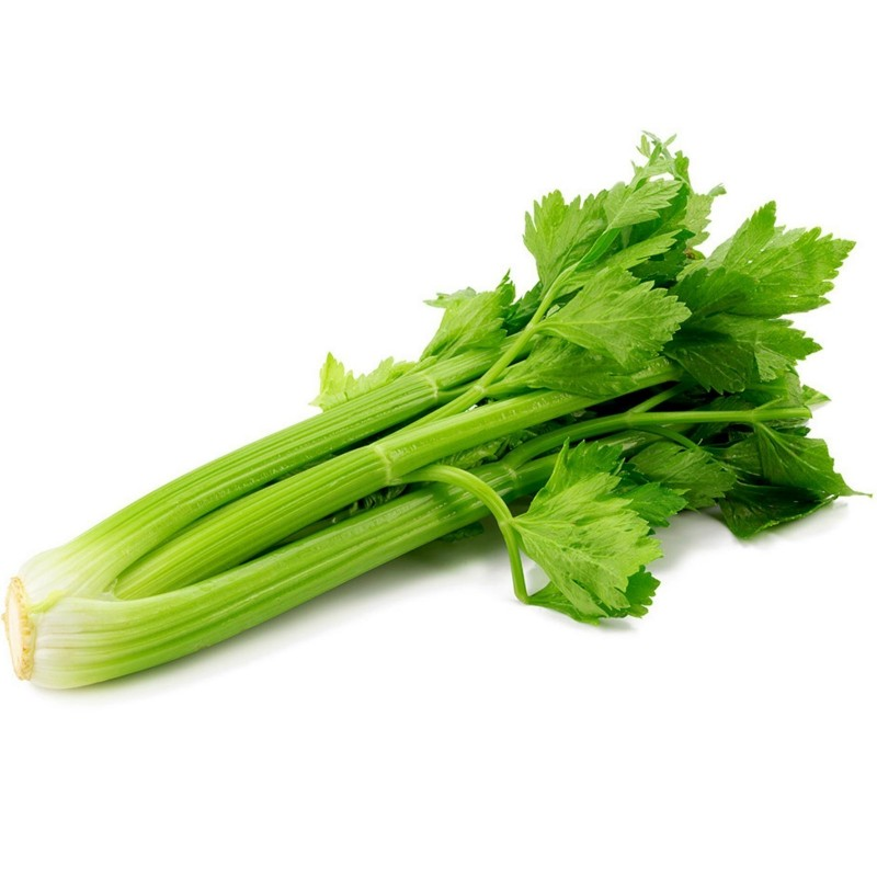 semillas de apio tall utah