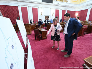 Possible Congressional Redistricting Maps Unveiled