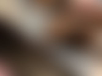 Dog Shot In Boone County