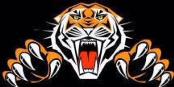 RCB rallies from six down to hand Chapmanville its first loss of the season - Vimarsana News
