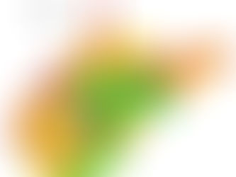 26 W.Va. Counties in the Red and Orange Categories