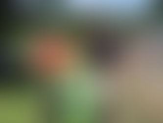 Kayak Event Raises Scholarship Funds for Southern