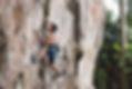 Main 3 Cropped - 60percent 70percent.jpg