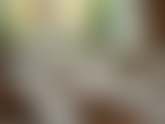 Culinary Services: Elevate Your Dining Experience Today