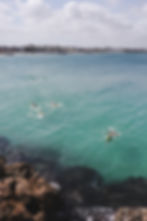 Shoreline Swimrun Race # 2 2021 - Enticer