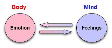 Emotions = Energy In Motions