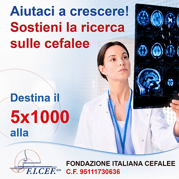 5x1000 ficef.png