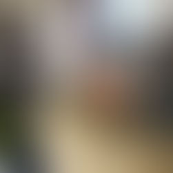 Is a Liberal Arts Degree Worth It? A Guide for 2026 Applicants