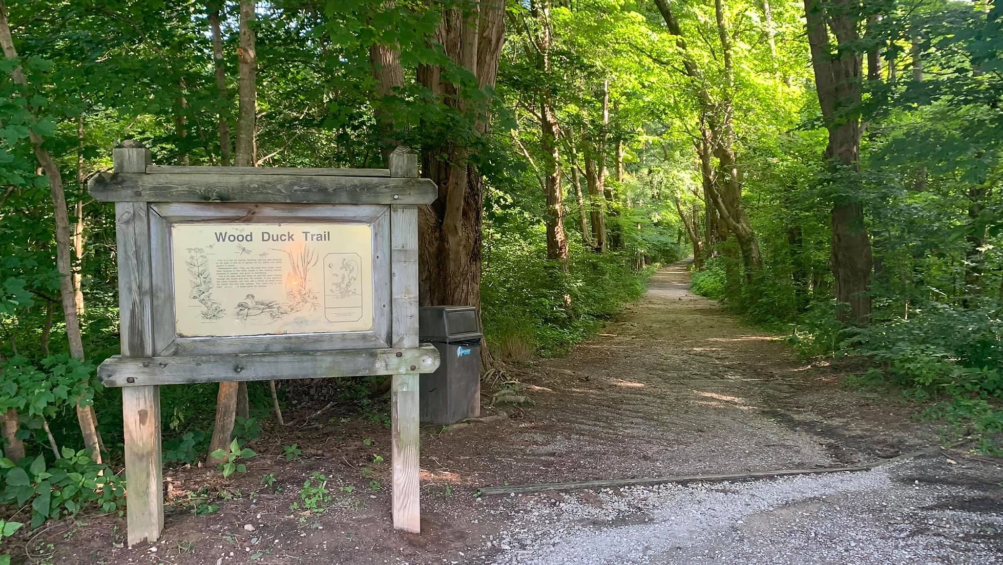 Cincy Hikes Little Boots at Mitchell Memorial Forest