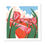 Thumbnail: Square art print of a spring landscape of tulip fields with a cyclist