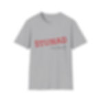 Thumbnail: Stunad shirt 