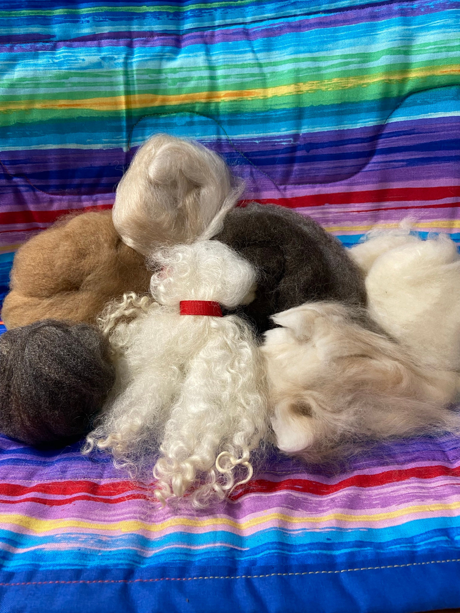 Specialty Fibers Sampler Pack