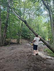 trail3.jpg