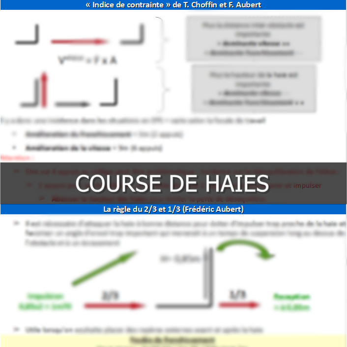 Miniature : Course de haies