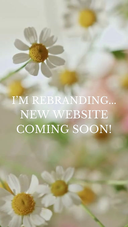 White Bloom Daisy Flower Quotes Mobile Video.jpg