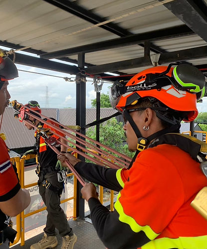 LINE_ALBUM_Training 26624_241001_19.jpg