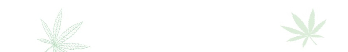 Captura de Pantalla 2023-07-27 a la(s) 1