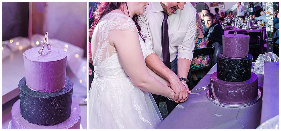 Ceremony Broken Goblet Brewery Reception Purple Uplighting Custom wedding sign light Andalusia PA wedding park long hair groom purple hair heavy metal cake cutting