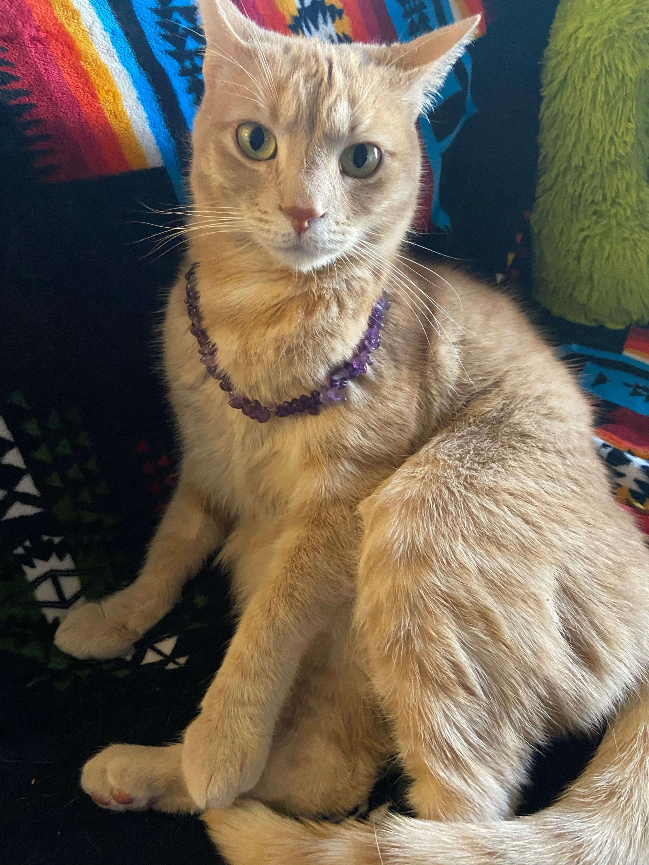Cat Jewelry 