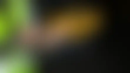 O Papel do Setor de Vistoria em uma Imobiliária e sua Relevância