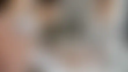 Direitos e Deveres do Inquilino e Proprietário | Lei do Inquilinato